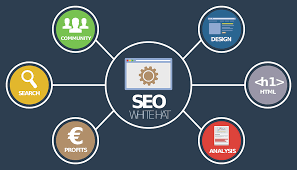 Habilidades Relevantes para Destacar en SEO